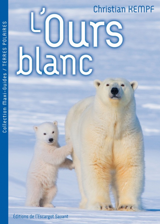 L'Ours Blanc