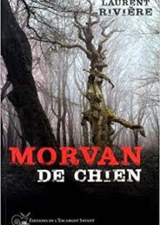 Morvan de chien