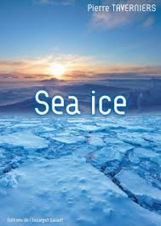 Sea ice Pierre Taverniers
