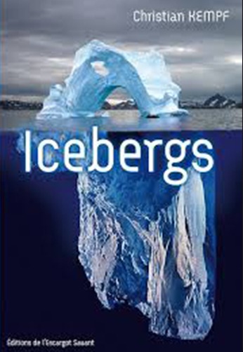 Icebergs Christian Kempf