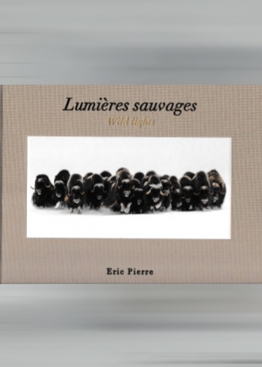 Lumières sauvages